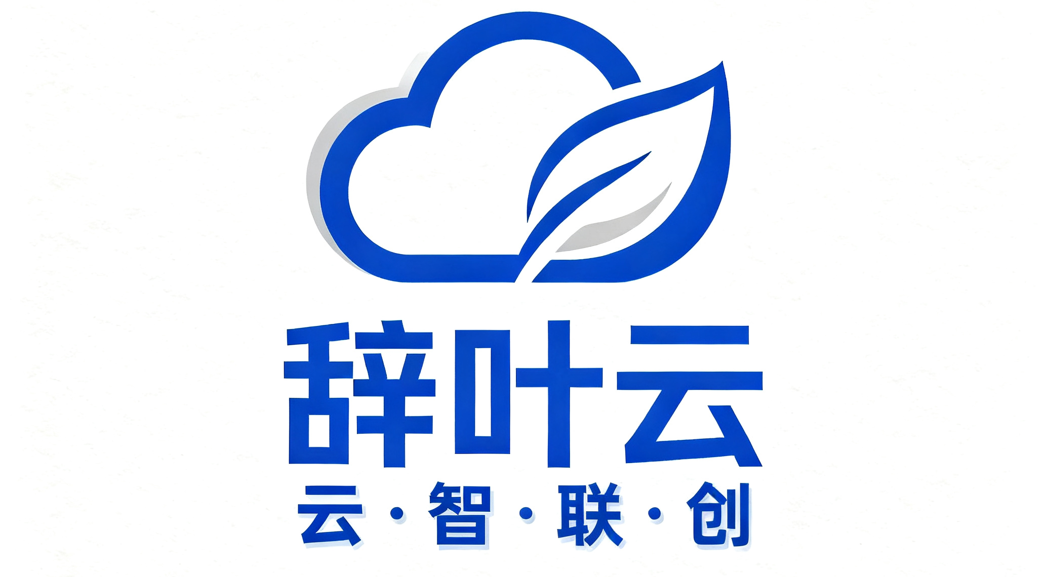 辞叶云-专注NAT云